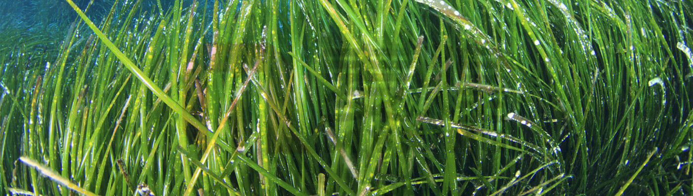 GQ150N型高速管式离心机